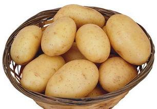 怀孕不能吃的食物 黑木耳或导致流产和早产