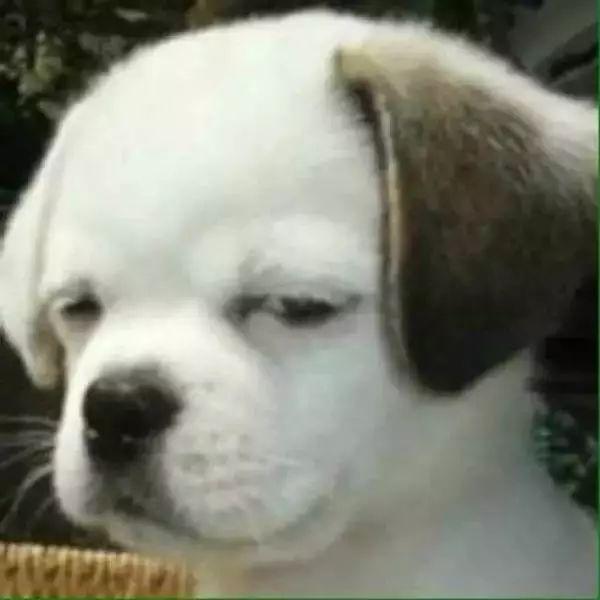 头像会影响人的第一印象吗?