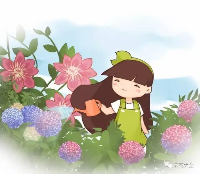 施肥施不好花容易烧根, 不如给花喷点这个