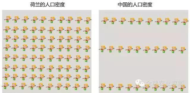 荷兰的人口总量_荷兰人口