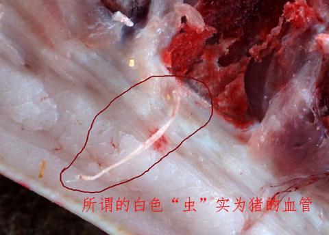 网红店肉里吃出寄生虫? 商家称是猪血管被索封口费