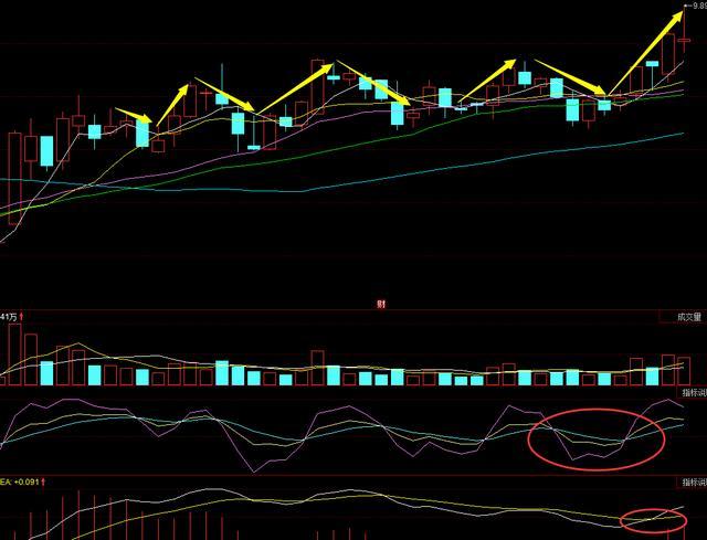 最新独家解析:中通客车+冠农股份+章源钨业_全