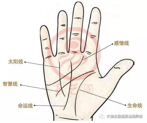 教你看手相,民间七相法,看清一个人一生成败!