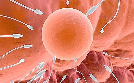 女性用这类药品, 能提高男性精子质量, 好多备孕