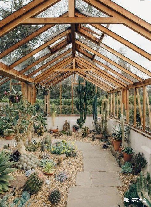 等我有一间阳光房, 养花喝茶, 过惬意的小日子!