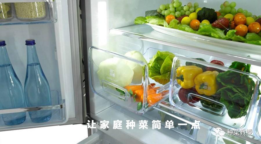 冰箱怎么保存蔬菜水果不坏 5bf51a9a1702cf71554fb1c6c3a0b846x900x499x62.jpeg
