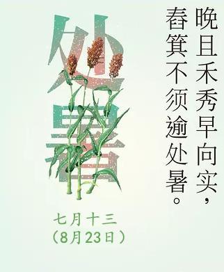 灞变腹涓瑰紑鑺辩孩鑹宠_奔波儿灞与灞波儿奔(3)