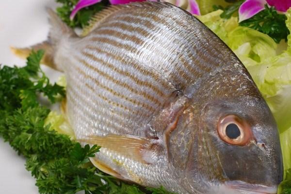 最近不能吃鱼是真的吗 这样的鱼再美味也别吃