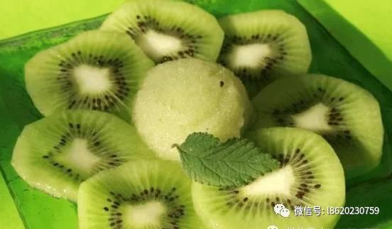 【现代蒸酒设备-猕猴桃泡酒技术方法 酿酒设备