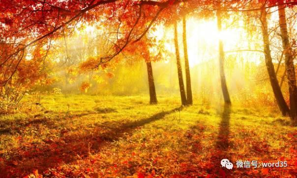 环保第一妖股, 破盘暴跌跌无可跌, 主力力挺, 有