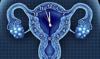 20岁的女人40岁的卵巢? 5大因素影响卵巢早衰