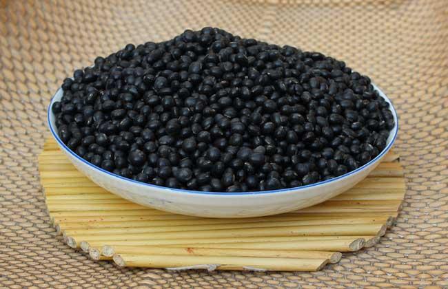 三五天改善白发, 黑豆泡醋治白发做法 - 健康汇