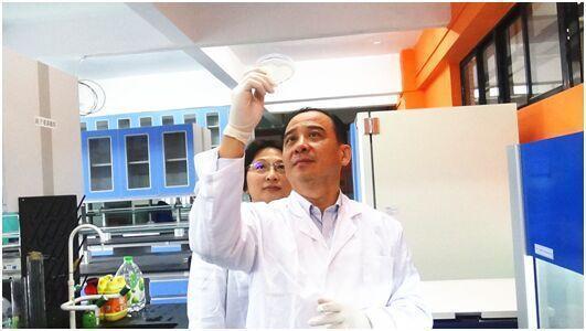 赵子建医研团队获重大突破 治愈糖尿病有望成