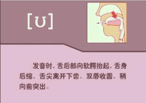 8e8f0353c5a44f962eacf9754c135a49x500x353x13.jpeg