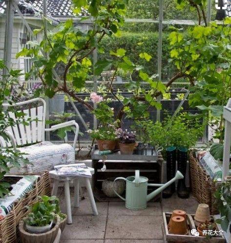 等我有一间阳光房, 养花喝茶, 过惬意的小日子!
