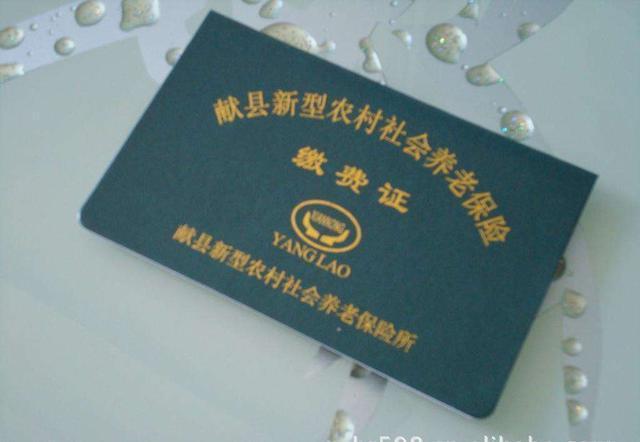 农民每年交3000块养老保险, 退休后农民能拿到