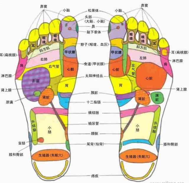 按摩脚底胃反射区