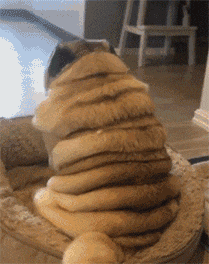 大家好! 这是我的2017年终总结(real扎心版)