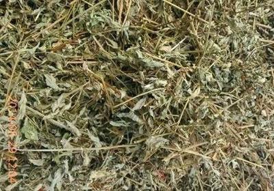 猴魁茶叶多少钱一斤 农村这个不起眼的野草, 如