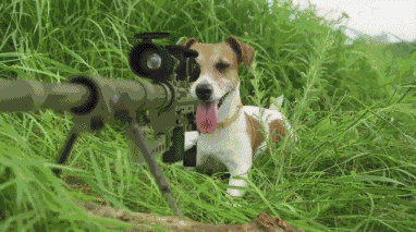 昨夜梦见把老婆给打了, 一整天我都没敢跟她说