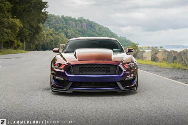 肌肉男也爱美容2018款福特野马轿跑平行进口