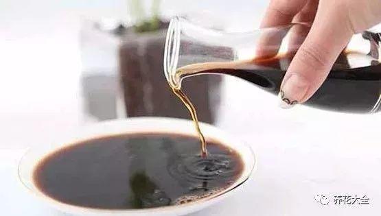 给花来点它, 叶子又绿又大, 虫子死光光盆都要炸开了