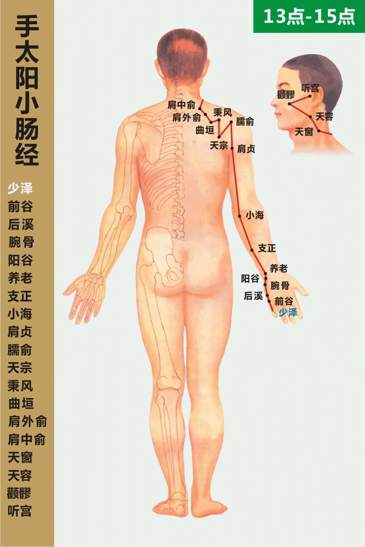 最新经络循行动画图(赶紧收藏)