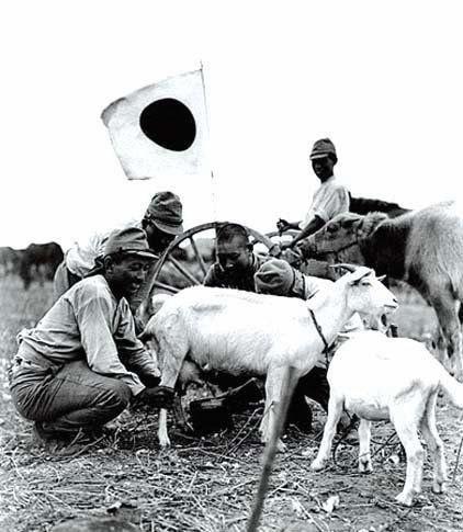 70多年前, 日本人究竟靠吃什么打仗?_hao123