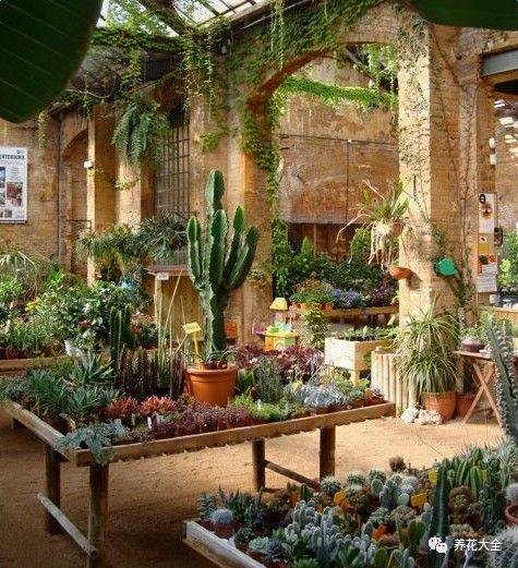 等我有一间阳光房, 养花喝茶, 过惬意的小日子!