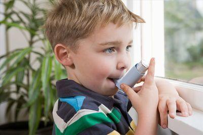 尘螨对哮喘儿童危害大 专家介绍八大尘螨控制