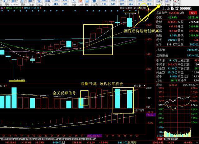 收入证明_明日预计收入(2)