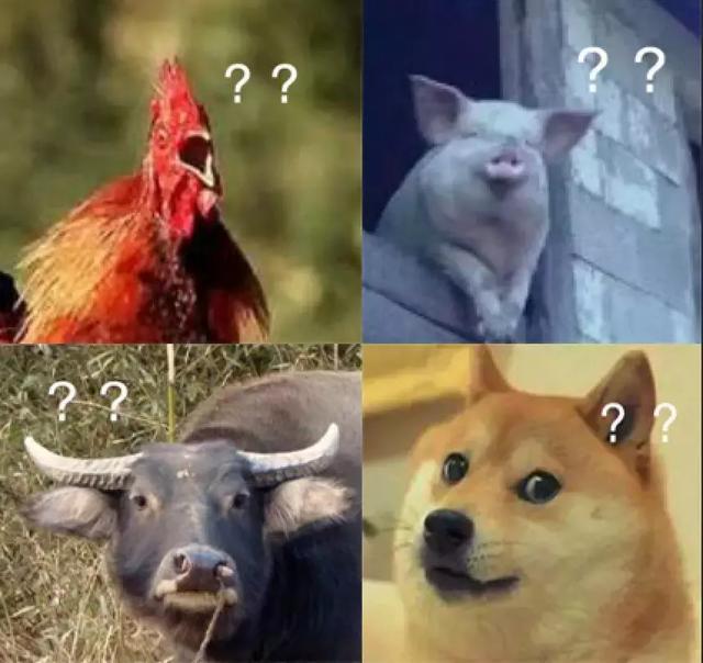 大家好! 这是我的2017年终总结(real扎心版)