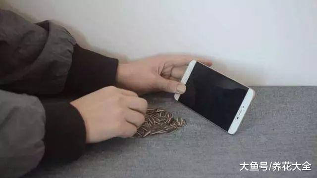 洗衣液桶别扔, 剪2刀, 秒变嗑瓜子看手机神器!