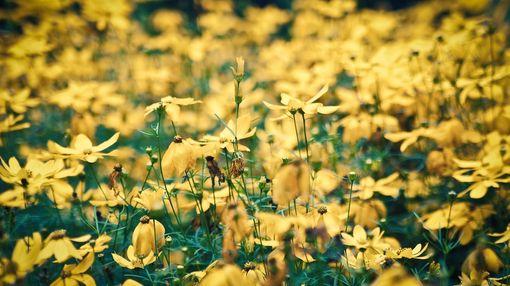 你忘记了这十句话, 才不会如此不安!