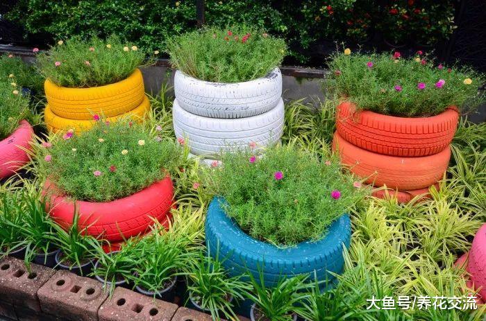 回收旧物DIY实用美观的盆栽, 种花比养在花盆里好看10倍