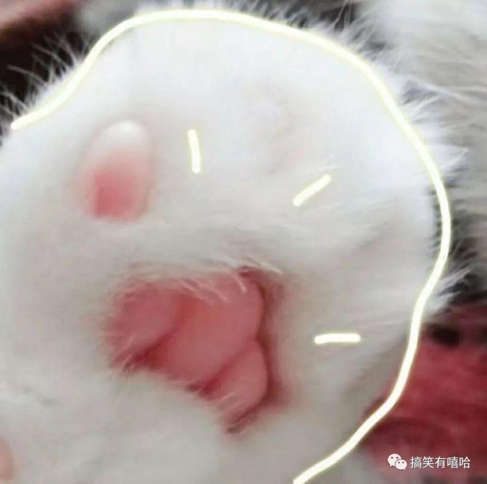 撩妹经典套路对话, 都是直接来电套路的