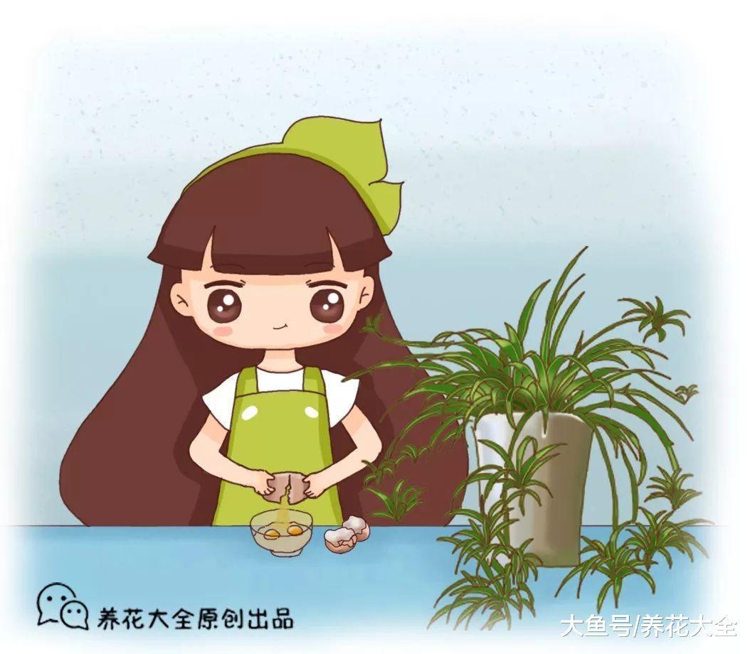1个鸡蛋1把豆, 2周花能养成树, 邻居看了都羡慕!