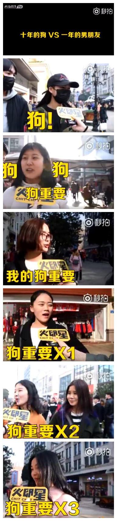 养了十年的狗和交了一年的男朋友, 谁更重要?