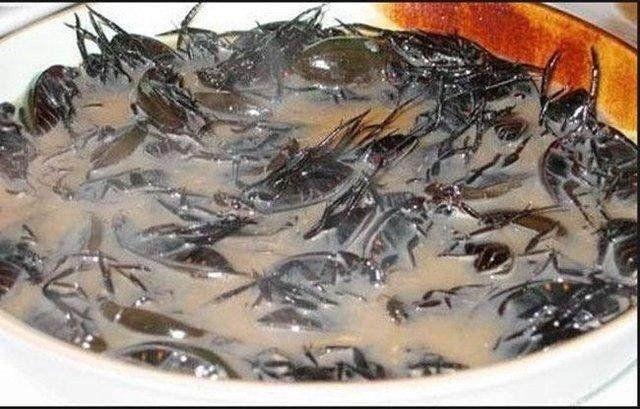 世界上五份最难以下咽的食物, 希望大家看完过后还能吃的下饭