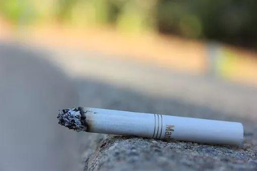 拿烟来养花, 不生一只虫, 花还呼呼长, 效果贼好!