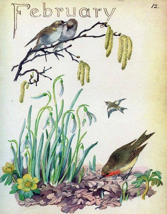 晚安心语优美语句, 用心甘情愿的态度, 过随遇而安的生活