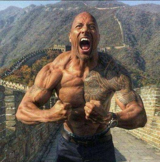 全球七大硬汉排名, 谁会是你目中的终极硬汉?