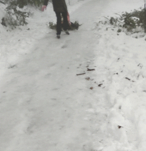 奇葩买家秀|妹子, 你这比例有点不对啊