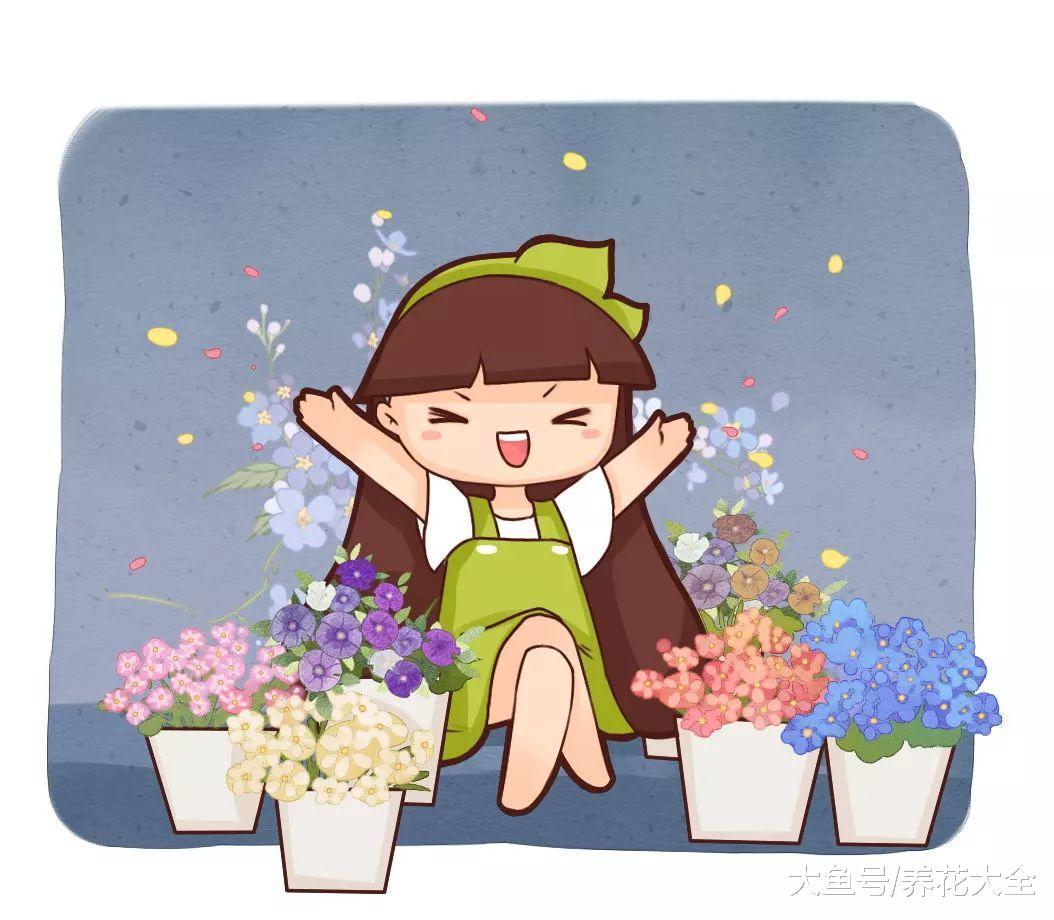 浇花水兑点料, 养3年盆里都不生虫, 根长得越来越粗!