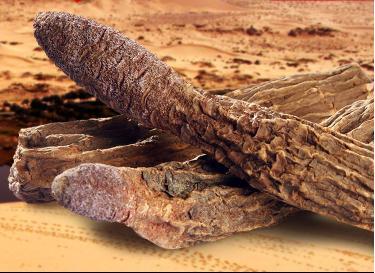聪明的男人都在吃这几种碱性食物, 健康又强身, 越吃越有男人味
