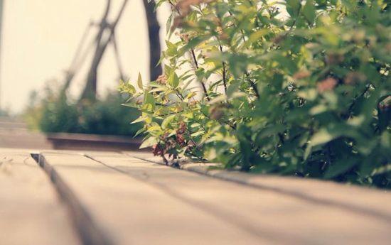 人生没有方向时, 请看这十句话!