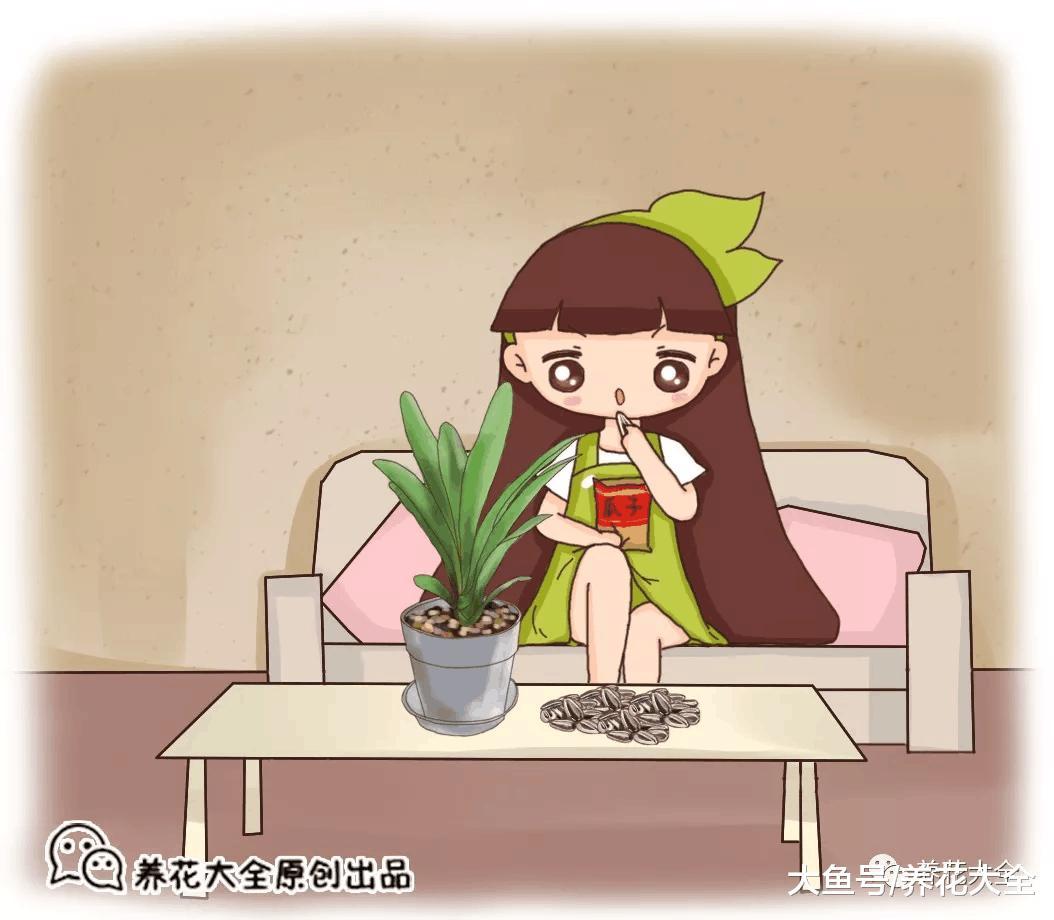 这些果壳往花盆里一丢, 花立马猛窜疯长, 呼呼得冒新叶子