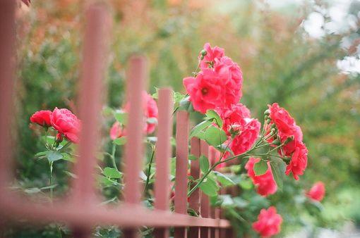 十句话, 让自己简单一点!