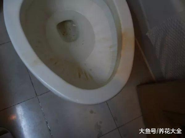 老妈只用1杯醋, 就搞定所有家务活, 厕所厨房一尘不染!