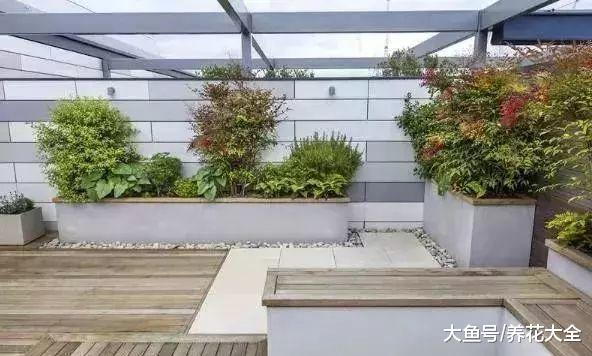 家里的屋顶上种上花, 花一开, 美若一片花海!